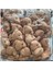 Elite 50 Li Paket Peluş Ayıcık Anahtarlık 1 Adet 1