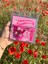 Elite Love Flowers Sukugift Hot Tarz Bouqet Aşk Buketi Hediye Wheels Sevgili Özel Gün Hediyesi Koleksiyon 1 Adet 1