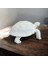 Kaplumbağa Biblo Heykel 3D Baskı Masa Üstü Dekoratif Obje 10X10X8 cm 2