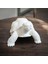 Kaplumbağa Biblo Heykel 3D Baskı Masa Üstü Dekoratif Obje 10X10X8 cm 4