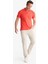 %100 Pamuk Slim Fit Dar Kesim Polo Yaka Nakışlı Kısa Kollu Tişört D7665AX25SP 5