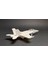 F/A-18F Süper Hornet Kit Kartı THN5427351 6