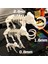 Mamut Iskelet 3D Bulmaca Kit Kartı THN6666454 2