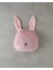 Sweet Rabbit Bebe Dekoratif Kırlent 35X27 cm Pembe 2