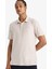 fit Standart Fit Sporcu Kısa Kollu Polo TIŞÖRT D9241AX25SP 1