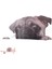 Komik Sevimli Pet Pug Köpek Salyangoz 3D Araba Pencere Çıkartmaları Ev Duvar Sticker Dekorasyon (Yurt Dışından) 1