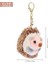 Sevimli Kirpi Peluş Anahtarlık Cep Telefon Ahizesi Anahtarlık Kirpi Ponpon Yüzük Kolye Peluş Oyuncak Kahverengi Anime Kürk Hediyeler (Yurt Dışından) 4