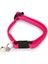 Yavru Kedi Tasması 23 cm Pembe Sptgl 1