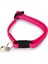 Yavru Kedi Tasması 23 cm Pembe Sptgl 2