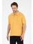 Erkek Polo Yaka Kısa Kollu T-Shirt – %95 Pamuk %5 Elastan – Esnek, Şık ve Rahat Erkek Tişört 0001 1
