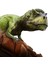 Natgeo Dino Kazı Kiti 5