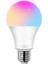 Akıllı Rgb LED Lamba Ampul 9W 50hz 800 Lümen 1