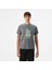 Horntrail Erkek Gri T-Shirt.cha 1