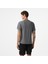 Horntrail Erkek Gri T-Shirt.cha 2