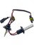 Xenon H7 Ampul 4300K 2