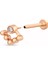 Rina Pırlanta Taşlı 14 Ayar Rosegold Kadın Kıkırdak Küpe 2