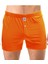 Erkek Turuncu Boxer 1