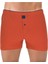 Erkek Kiremit Boxer 1