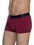 Bordo Boxer 2