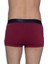 Bordo Boxer 4