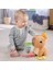 Yumuşak Kapibara Peluş HYR54 2