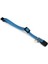 Yavru Kedi Boyun Tasması, Zilli, Mavi, 15-22 cm 3