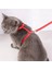 Kedi Boyun ve Göğüs Tasması 3