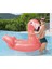 Flamingo Binici Tutunmalı 168X120CM - 41526 4
