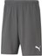 Teamrise Short Erkek Şortu 70494213 Gri 1