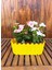 Sarı Ikili Dekoratif Truva Renkli Çiçek Saksısı 3,5 Lt (295X130X110MM) 1