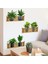 Raflı Bitki Tasarımlı Yapışkanlı Sticker 20*30 cm 3lü Set 3