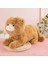 35CM Sevimli Kedi Peluş Oyuncak Bebek Bebek Yastık Hediye (Yurt Dışından) 1