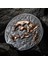 Nimravidae Evrimi 2023 1 Ons Gümüş Sikke Coin 3