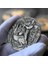 Samson Gümüş Sikke Coin 4