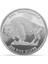 Amerikan Buffalo Gümüş Sikke Coin 1