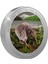 Kiwi Kuşu Gümüş Sikke Coin 1