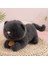 35CM Sevimli Kedi Peluş Oyuncak Bebek Bebek Yastık Hediye (Yurt Dışından) 1