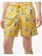 Erkek Sarı Standart Fit Deniz Şortu T45323T.70E 4
