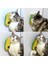 Silikon Kaşıyıcılı Kedi Otu Oyuncağı 1