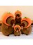30CM Trabzon Hurması Kirpi Balığı Peluş Oyuncak Bebek Yastık Hediye (Yurt Dışından) 2