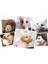 Köpek Koruma Ağızlığı 7'li Set 2