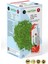 Premium Japanese Çilek Aromalı Detox Burner Form Maça Çayı 1 Kutu 1