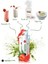 Premium Japanese Çilek Aromalı Detox Burner Form Maça Çayı 1 Kutu 2
