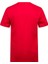 Alex Baskılı Erkek Sıfır Yaka T-Shirt 035 4