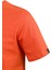 Alex Baskılı Erkek Sıfır Yaka T-Shirt 035 3