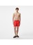Erkek Kırmızı Regular Fit Deniz Şortu 1