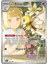 Lillie's Ribombee 164/159 Illustration Rare Oyun Kartı 1