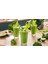 High Performance Blender Vitapower 1800 W Siyah 3
