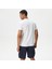 Erkek Beyaz Standart Fit T-Shirt 2