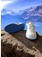 Beyaz-Saks Mavi Iki Bantlı Unisex Günlük Hafif Taban Sneaker Spor Ayakkabı 4